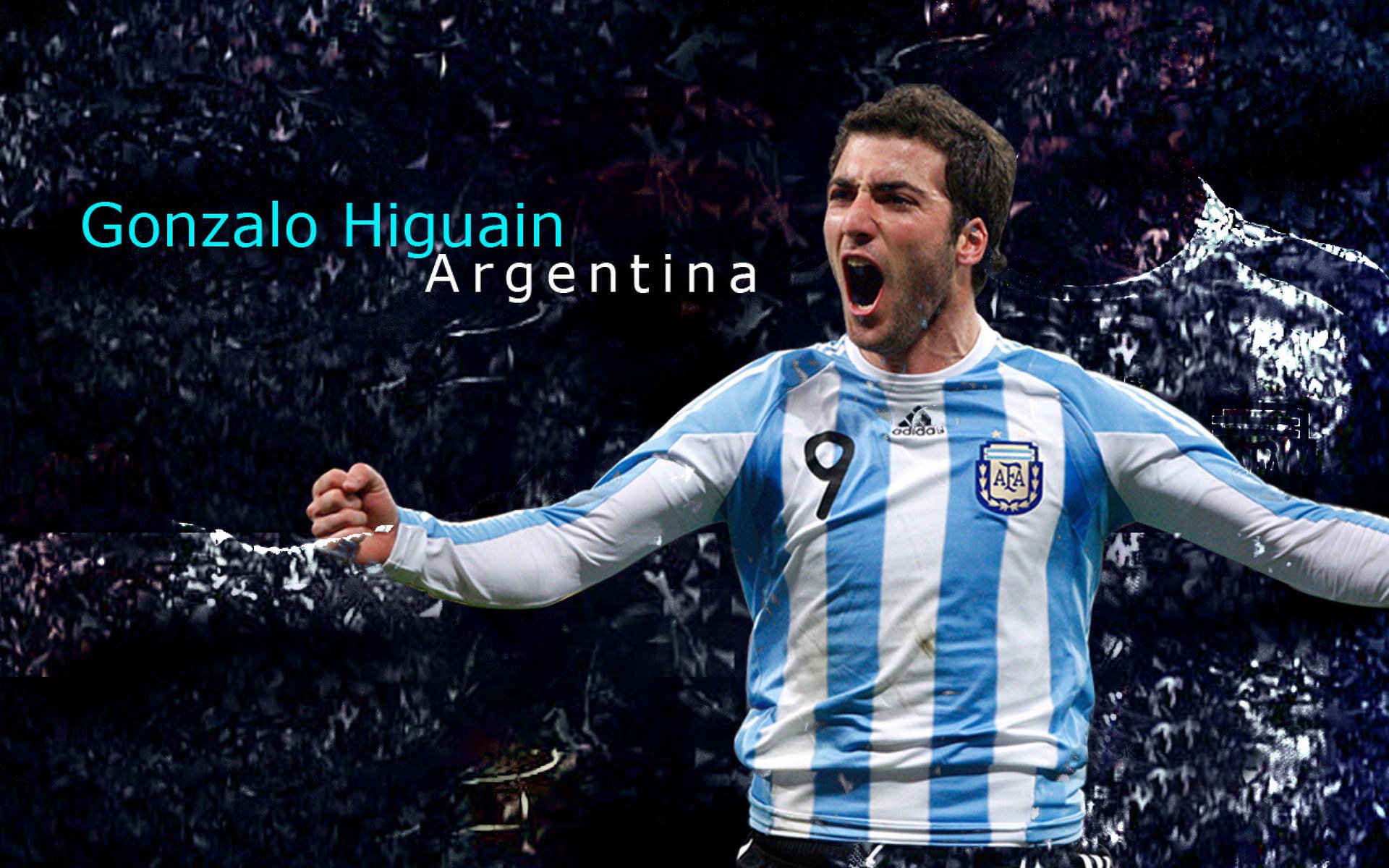 “2025世界游泳锦标赛：水上芭蕾展现不一样的艺术魅力”