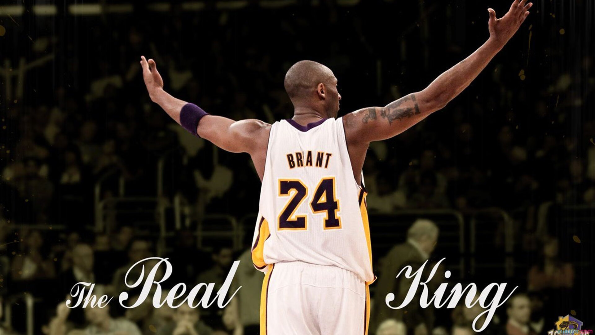 兴隆湖畔,见证速度与荣耀,兴隆湖456亩项目